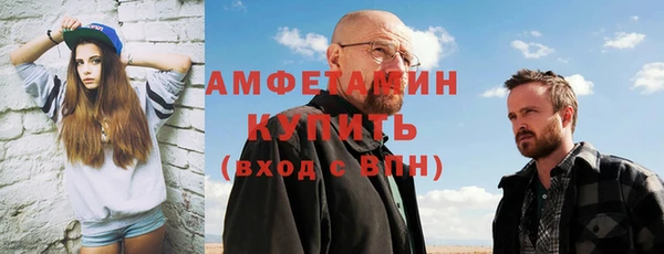 хмурый Кедровый