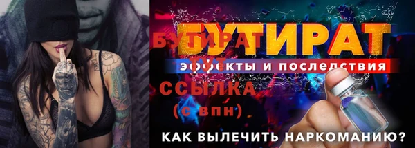 хмурый Кедровый